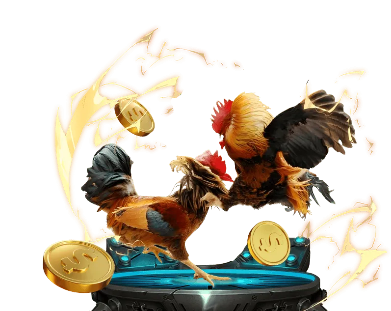 Cá cược thể thao i9bet. com